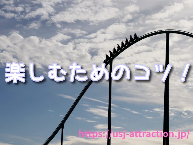 ハリウッドドリームザライド バックドロップ